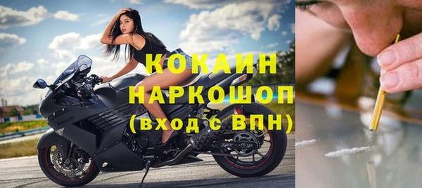 мдпв Белокуриха